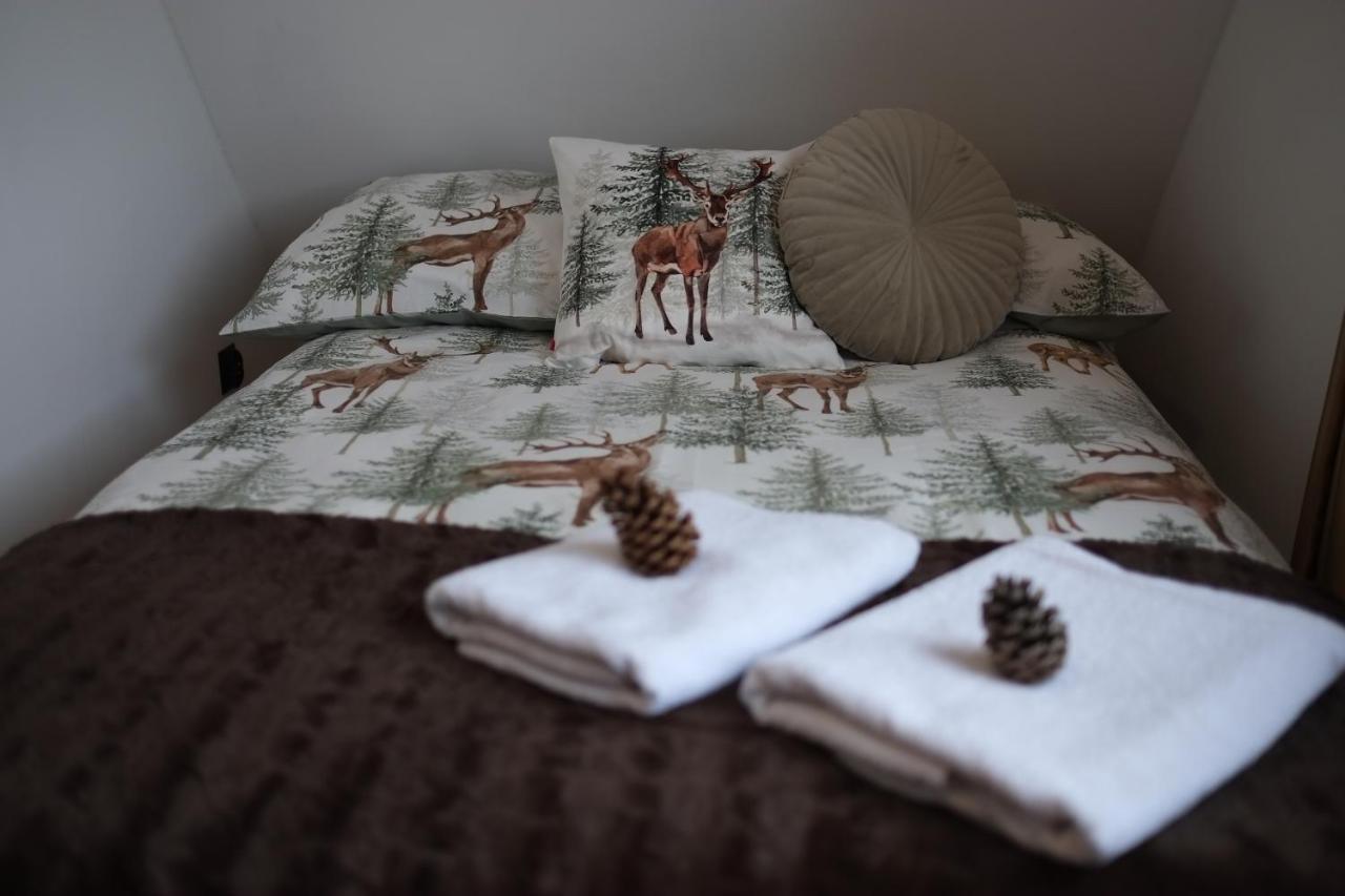 Apartament Ryllowka Z Widokiem Na Gory Zakopane Luaran gambar