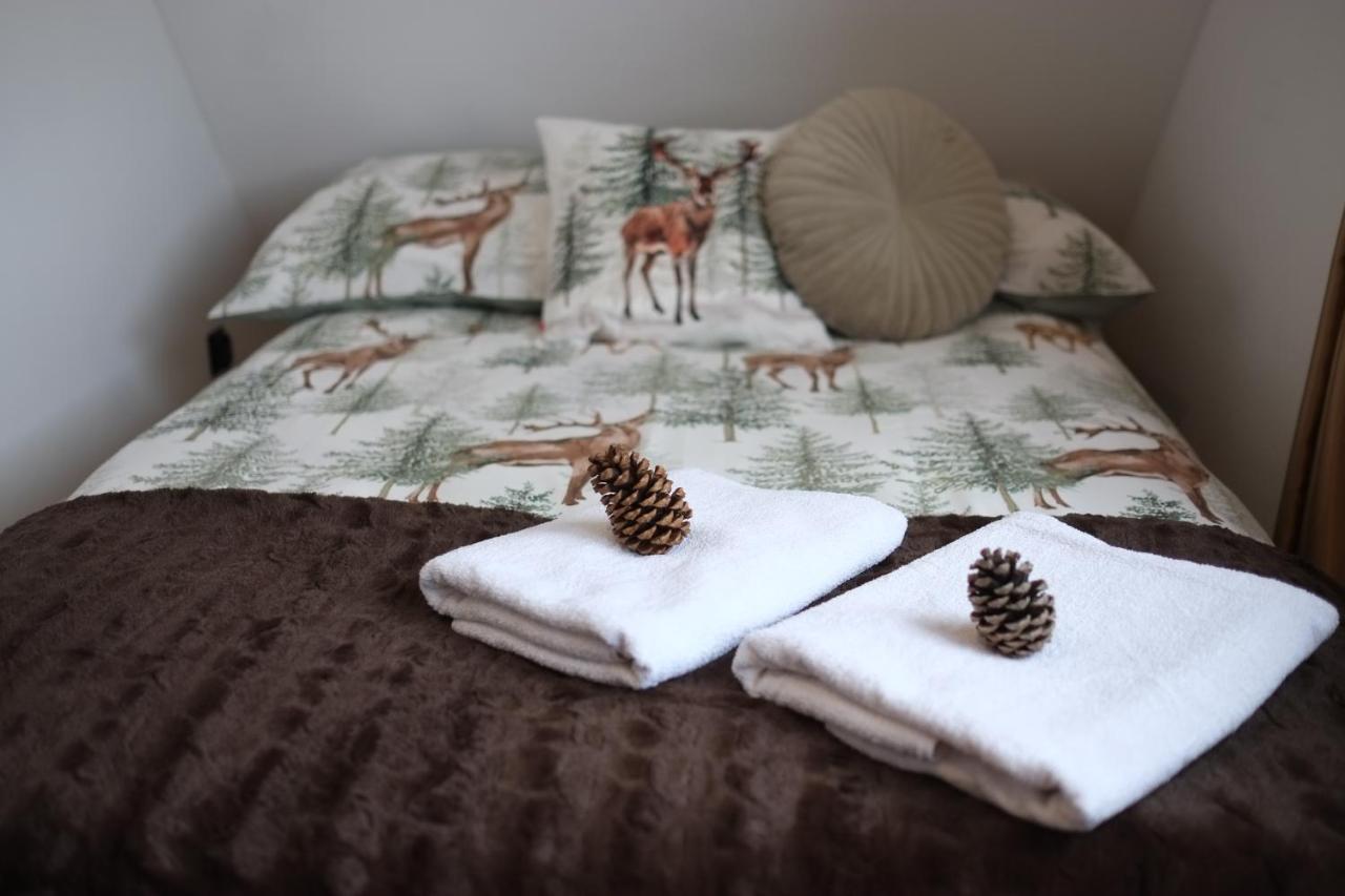 Apartament Ryllowka Z Widokiem Na Gory Zakopane Luaran gambar